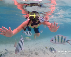 Остров Paradise турпоезка на Koh Chuang с Паттайи в Таиланде - фото 20