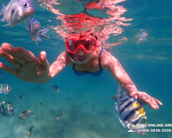 Остров Paradise турпоезка на Koh Chuang с Паттайи в Таиланде - фото 17