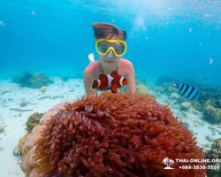 Остров Paradise турпоезка на Koh Chuang с Паттайи в Таиланде - фото 41