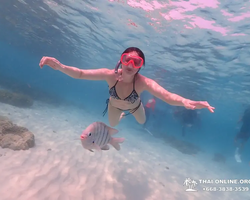 Остров Paradise турпоезка на Koh Chuang с Паттайи в Таиланде - фото 22