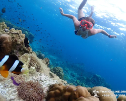 Остров Paradise турпоезка на Koh Chuang с Паттайи в Таиланде - фото 6