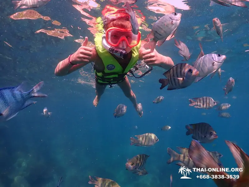 Остров Paradise экскурсия на Ко Чуан из Паттайи Тайланд - фото 17