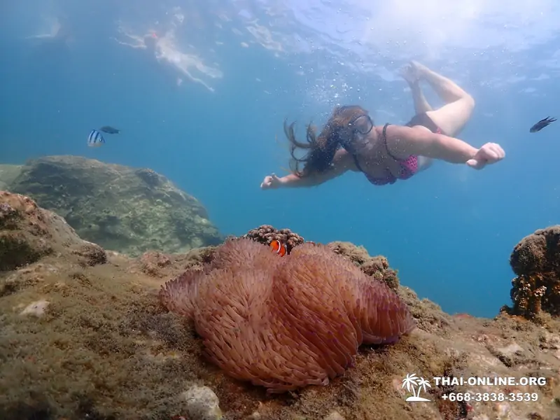 Остров Paradise экскурсия на Ко Чуан из Паттайи Тайланд - фото 15