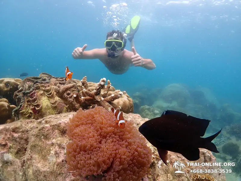 Остров Paradise экскурсия на Ко Чуан из Паттайи Тайланд - фото 16