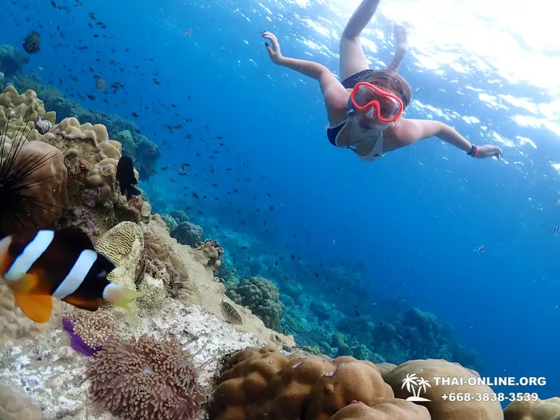 Остров Paradise экскурсия на Ко Чуан из Паттайи Тайланд - фото 14