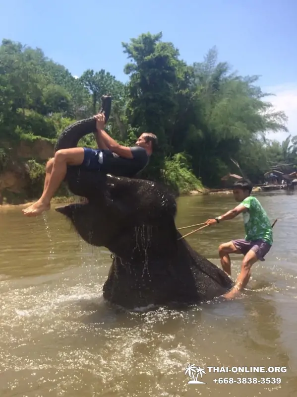 Экскурсия Открой Тайну Сиама на Квай из Паттайи Тайланд фото 15