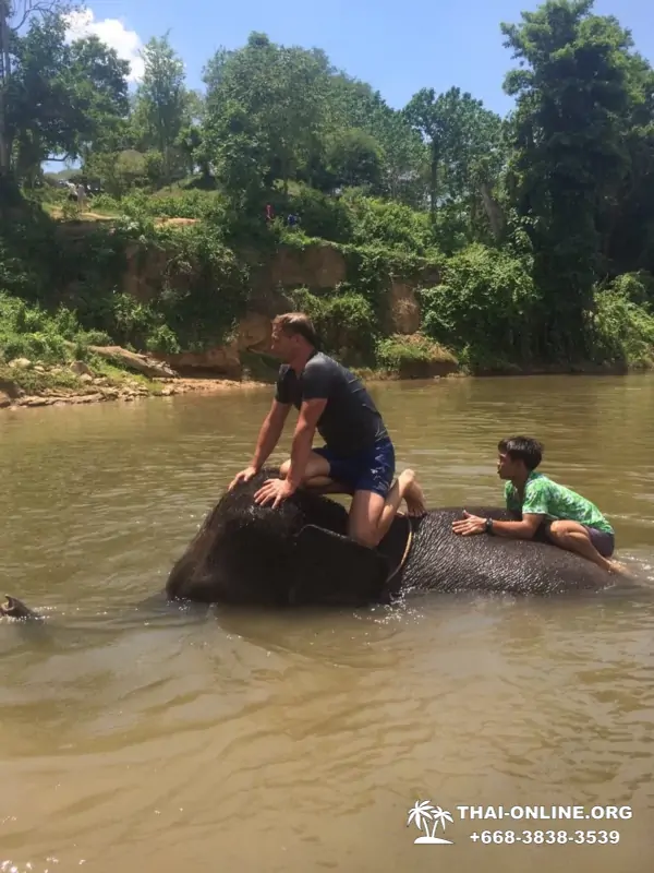 Экскурсия Открой Тайну Сиама на Квай из Паттайи Тайланд фото 14
