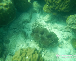 Экскурсия 9 Островов в Паттайе Тайланде - фото тура 59