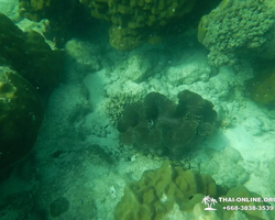 Экскурсия 9 Островов в Паттайе Тайланде - фото тура 58