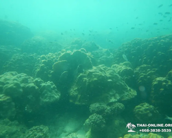 Экскурсия 9 Островов в Паттайе Тайланде - фото тура 55