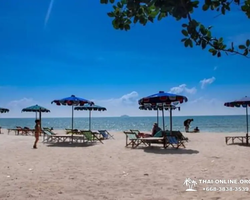 Тропический круиз по 9 островам Паттайя Таиланд - фото 32