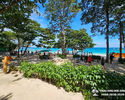 Тропический круиз по 9 островам Паттайя Таиланд - фото 97