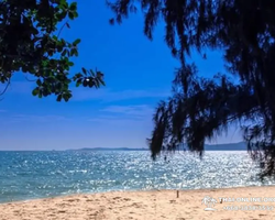 Тропический круиз по 9 островам Паттайя Таиланд - фото 30