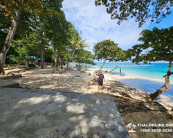 Тропический круиз по 9 островам Паттайя Таиланд - фото 95