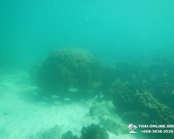 Экскурсия 9 Островов в Паттайе Тайланде - фото тура 54