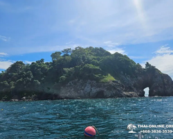 Тропический круиз по 9 островам Паттайя Таиланд - фото 77