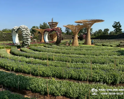 Квай Сафари и Каньон Летающего Дракона экскурсия фото 4