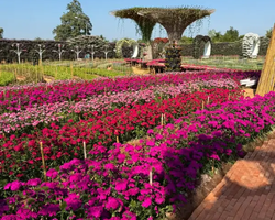 Квай Сафари и Каньон Летающего Дракона экскурсия фото 14