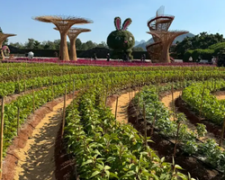 Квай Сафари и Каньон Летающего Дракона тур из Паттайи фото 8