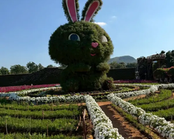 Квай Сафари и Каньон Летающего Дракона тур из Паттайи фото 17