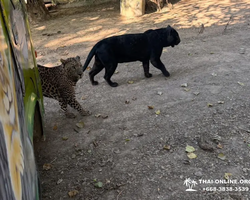 Квай Сафари и Каньон Летающего Дракона экскурсия фото 71