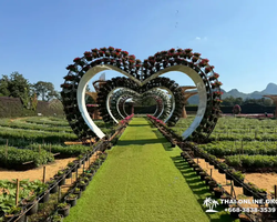 Квай Сафари и Каньон Летающего Дракона тур из Паттайи фото 1