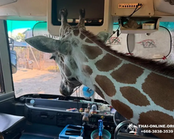 Квай Сафари и Каньон Летающего Дракона экскурсия фото 74