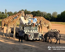 Квай Сафари и Каньон Летающего Дракона экскурсия фото 76