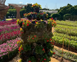 Квай Сафари и Каньон Летающего Дракона тур из Паттайи фото 12