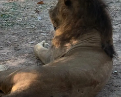 Квай Сафари и Каньон Летающего Дракона экскурсия фото 150