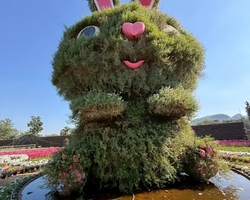 Квай Сафари и Каньон Летающего Дракона тур из Паттайи фото 21