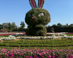 Квай Сафари и Каньон Летающего Дракона тур из Паттайи фото 20