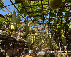 Квай Сафари и Каньон Летающего Дракона экскурсия фото 5