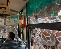 Квай Сафари и Каньон Летающего Дракона экскурсия фото 153