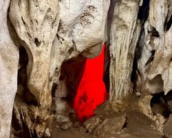 Квай Сафари и Каньон Летающего Дракона тур из Паттайи фото 148