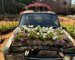 Квай Сафари и Каньон Летающего Дракона тур из Паттайи фото 9