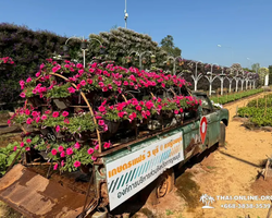 Квай Сафари и Каньон Летающего Дракона тур из Паттайи фото 2