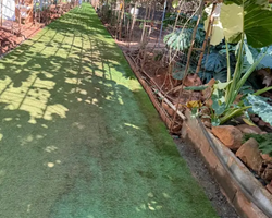 Квай Сафари и Каньон Летающего Дракона тур из Паттайи фото 19