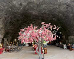 Квай Сафари и Каньон Летающего Дракона тур из Паттайи фото 86