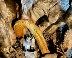 Квай Сафари и Каньон Летающего Дракона тур из Паттайи фото 124