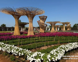 Квай Сафари и Каньон Летающего Дракона тур из Паттайи фото 6