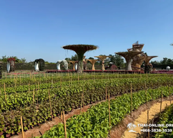 Квай Сафари и Каньон Летающего Дракона экскурсия фото 3