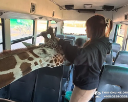 Квай Сафари и Каньон Летающего Дракона экскурсия фото 77