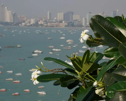 Вечерний Сити Тур Паттайя экскурсия в Таиланде - фото 93