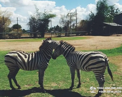 Квай Сафари экскурсия 2 дня из Паттайи - фото тура 57