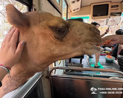 Квай Сафари экскурсия 2 дня из Паттайи - фото тура 44