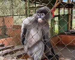 Квай Сафари экскурсия 2 дня из Паттайи - фото тура 48