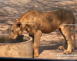 Квай Сафари экскурсия 2 дня из Паттайи - фото тура 42