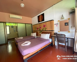 Квай Сафари двухдневная экскурсия из Паттайи - фото 101