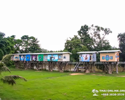 Квай Сафари двухдневная экскурсия из Паттайи - фото 176